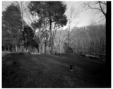 17 April 2011 - Test #2