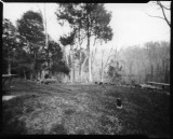 Contact Print - Test #1