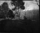 Contact Print - Test #2