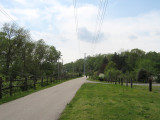 Looking West