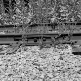 Weedy Rail Joint