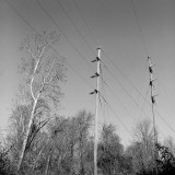 Power Poles