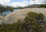 Above Lake Tanaya Yosemite VII.jpg