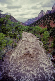 Virgin Flood