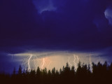 Lightning and Blowing Trees Duncan