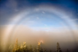 Full Glory Snow Bow