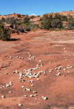 Another mysterious collection of white stones