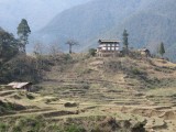 drive down to Punakha valley