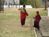 novice monks at the Mad Monks