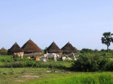 a Dinka homestead