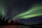 The Aurora, Alaska