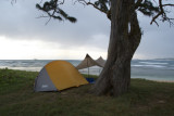 tent and tarp under sturdy tree