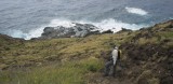 hiking down towards Makapuu tide pools