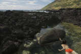 swimming in a tide pool