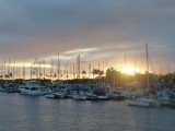 moored boats at Waikiki Yacht Club