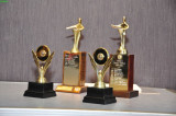 :: 2010 Area 6 Humorous and Table Topics Contest ::