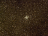 M 11, lAmas du Canard sauvage