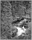 Alaska