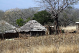 Thatched Roof Huts