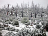 yosemite snow.jpg