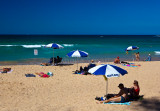Manly Beach umbrellas