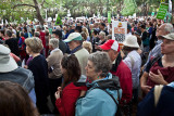 Pro carbon pricing rally 