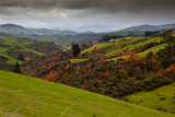 Autumn colours on road to Christchurch