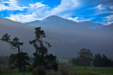 Trees and mountains