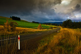 Road in South Island