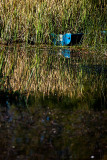 Blue boat at dam