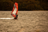 Windsurfer at Narrabeen Lake