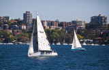 Yacht race on Sydney Harbour