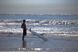 Surfer at Manly