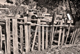 Hill End fence in monochrome