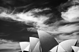 Sydney Opera House in monochrome