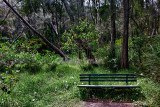 Seat on bushwalk at Narrabeen Lake