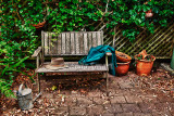 Our garden bench
