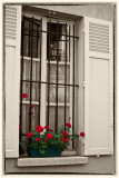 Flowers in Paris window