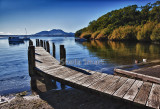 Acacia Bay landscape 