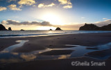 Bay of Plenty sunrise landscape 