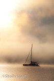 Catamaran in mist at Bay of Islands, New Zealand