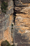 Rock climbing Blue Mountains