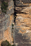 Rock climbing Blue Mountains 