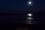 Moonlight at Avalon Beach with surfer