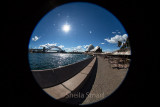 Sydney Harbour fisheye 