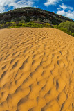 Palm Beach dunes