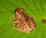 IMG_7921.JPG