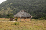 IMG_6460.JPG