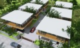 Hemady Grove