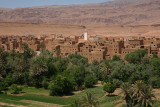 Oasis of Tinehir.jpg